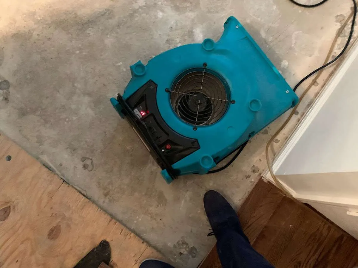 Air mover drying subfloor during Commercial Water Damage Restoration in Holyoke